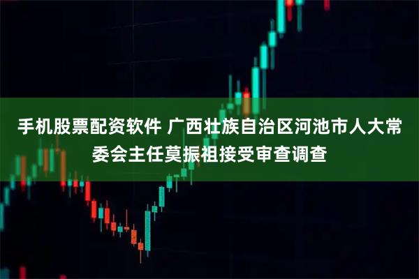 手机股票配资软件 广西壮族自治区河池市人大常委会主任莫振祖接受审查调查